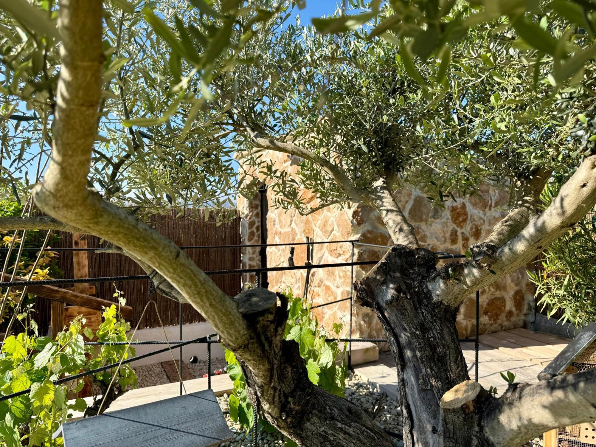 Une Nuit En Luberon Puyvert ภายนอก รูปภาพ